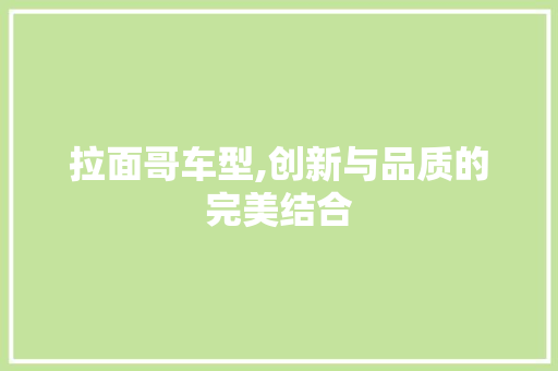 拉面哥车型,创新与品质的完美结合
