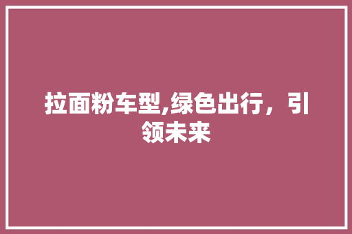 拉面粉车型,绿色出行，引领未来