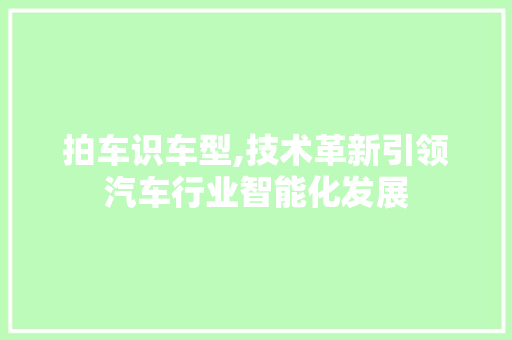 拍车识车型,技术革新引领汽车行业智能化发展