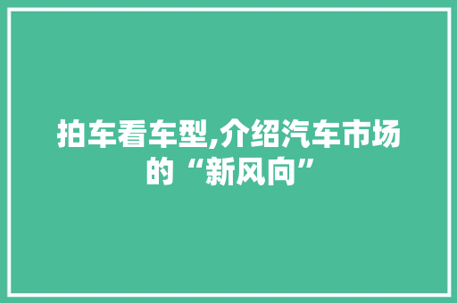 拍车看车型,介绍汽车市场的“新风向”