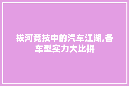 拔河竞技中的汽车江湖,各车型实力大比拼