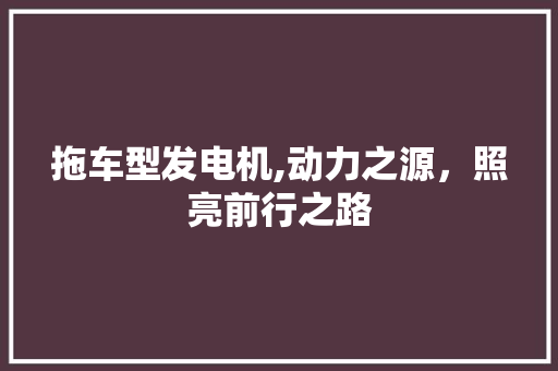 拖车型发电机,动力之源，照亮前行之路