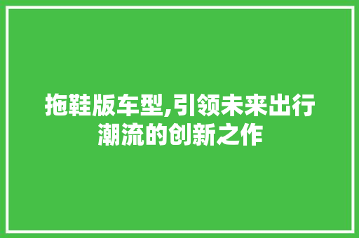 拖鞋版车型,引领未来出行潮流的创新之作
