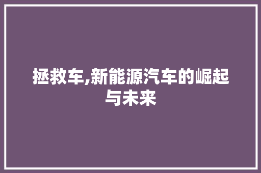 拯救车,新能源汽车的崛起与未来