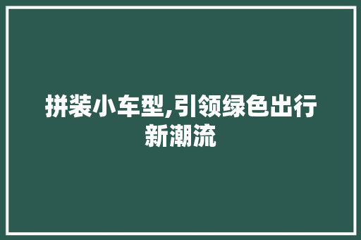 拼装小车型,引领绿色出行新潮流