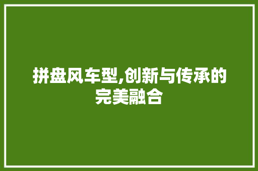拼盘风车型,创新与传承的完美融合