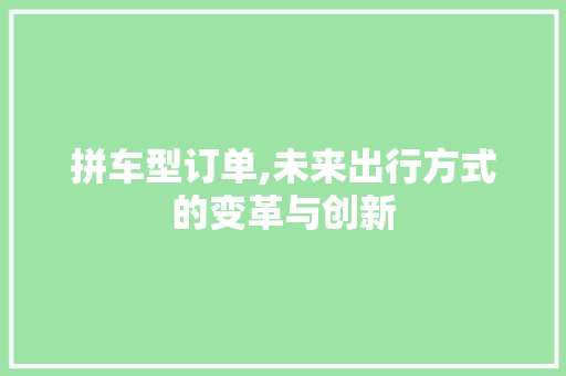 拼车型订单,未来出行方式的变革与创新