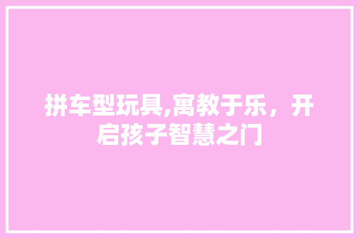 拼车型玩具,寓教于乐，开启孩子智慧之门