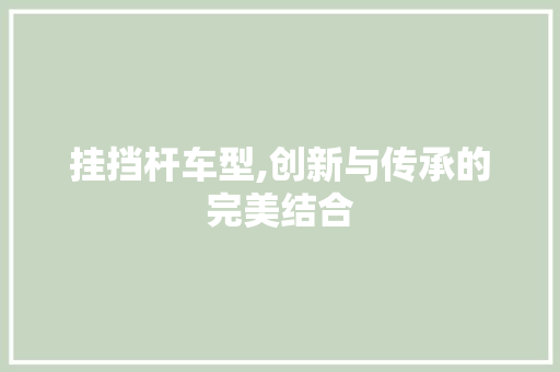 挂挡杆车型,创新与传承的完美结合