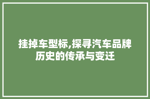 挂掉车型标,探寻汽车品牌历史的传承与变迁