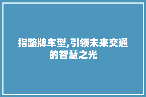指路牌车型,引领未来交通的智慧之光