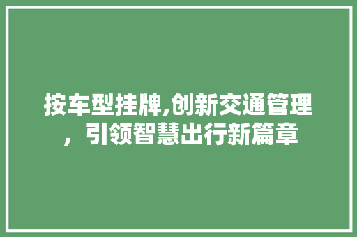 按车型挂牌,创新交通管理，引领智慧出行新篇章