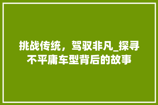 挑战传统，驾驭非凡_探寻不平庸车型背后的故事 车身配件