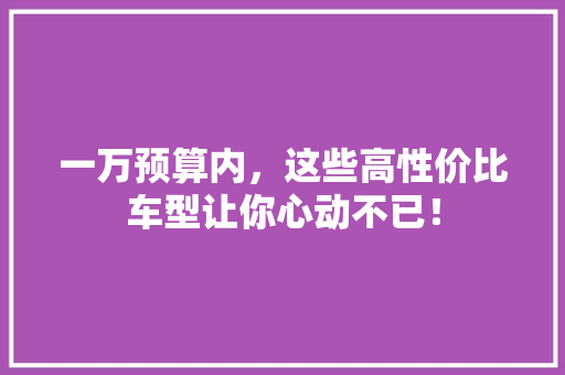 一万预算内，这些高性价比车型让你心动不已！