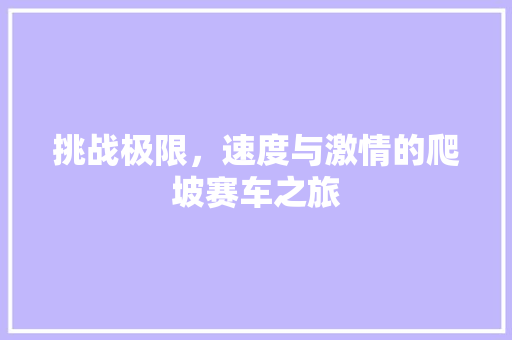 挑战极限，速度与激情的爬坡赛车之旅