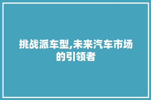 挑战派车型,未来汽车市场的引领者