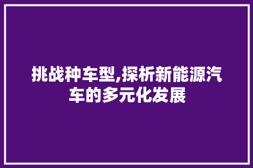 挑战种车型,探析新能源汽车的多元化发展