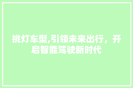 挑灯车型,引领未来出行，开启智能驾驶新时代