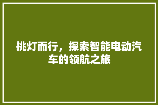挑灯而行，探索智能电动汽车的领航之旅