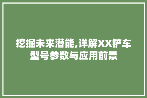 挖掘未来潜能,详解XX铲车型号参数与应用前景