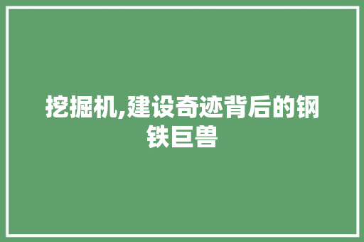 挖掘机,建设奇迹背后的钢铁巨兽