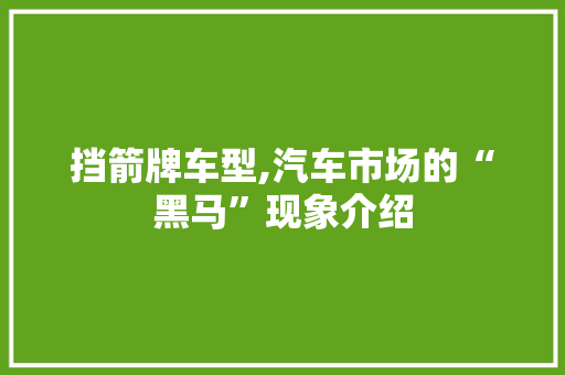 挡箭牌车型,汽车市场的“黑马”现象介绍