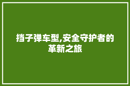 挡子弹车型,安全守护者的革新之旅