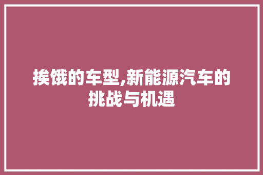 挨饿的车型,新能源汽车的挑战与机遇