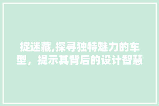 捉迷藏,探寻独特魅力的车型，提示其背后的设计智慧