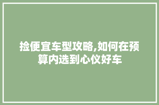 捡便宜车型攻略,如何在预算内选到心仪好车