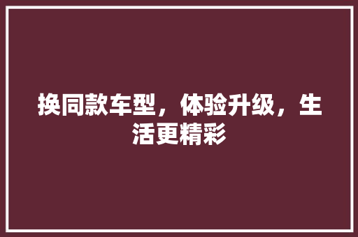 换同款车型，体验升级，生活更精彩