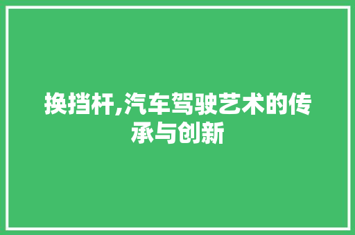 换挡杆,汽车驾驶艺术的传承与创新