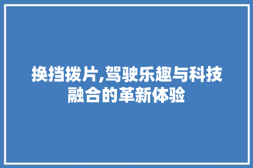 换挡拨片,驾驶乐趣与科技融合的革新体验