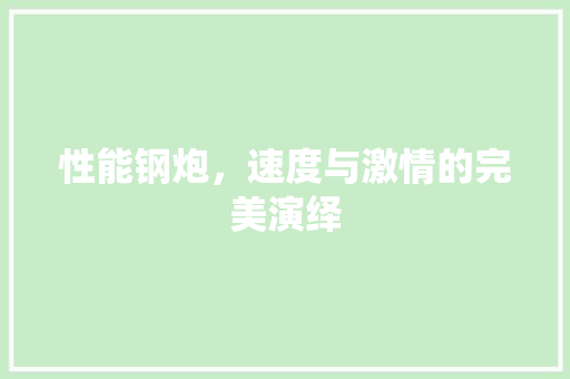 性能钢炮，速度与激情的完美演绎