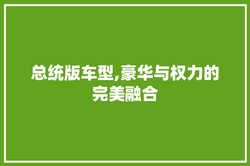 总统版车型,豪华与权力的完美融合