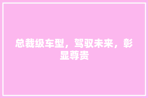 总裁级车型，驾驭未来，彰显尊贵