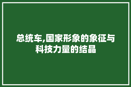 总统车,国家形象的象征与科技力量的结晶 车身配件