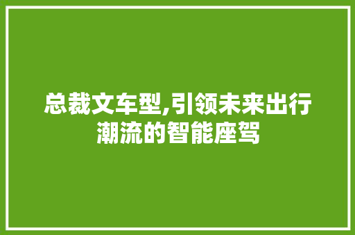 总裁文车型,引领未来出行潮流的智能座驾