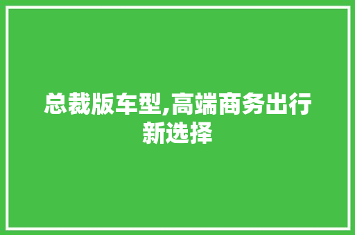 总裁版车型,高端商务出行新选择