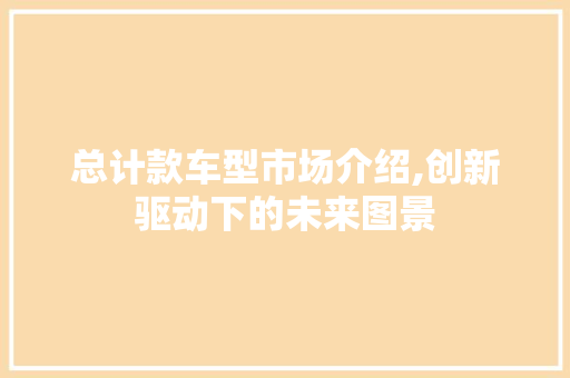 总计款车型市场介绍,创新驱动下的未来图景