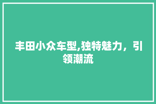 丰田小众车型,独特魅力，引领潮流
