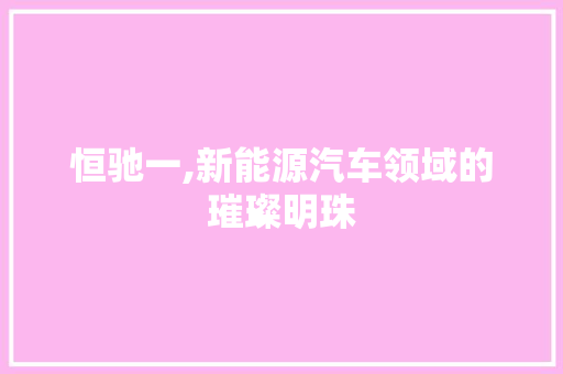 恒驰一,新能源汽车领域的璀璨明珠