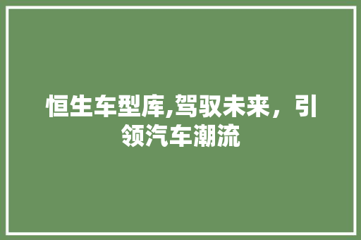 恒生车型库,驾驭未来，引领汽车潮流