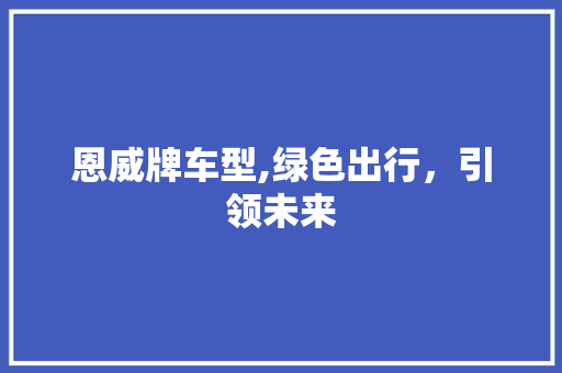 恩威牌车型,绿色出行，引领未来