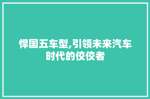 悍国五车型,引领未来汽车时代的佼佼者
