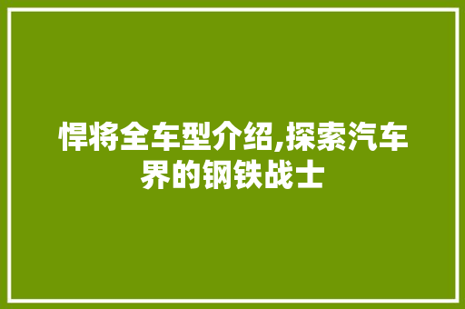 悍将全车型介绍,探索汽车界的钢铁战士