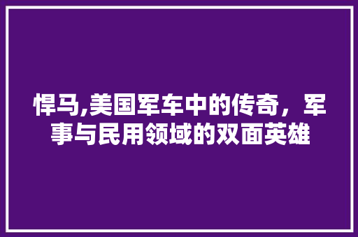 悍马,美国军车中的传奇，军事与民用领域的双面英雄