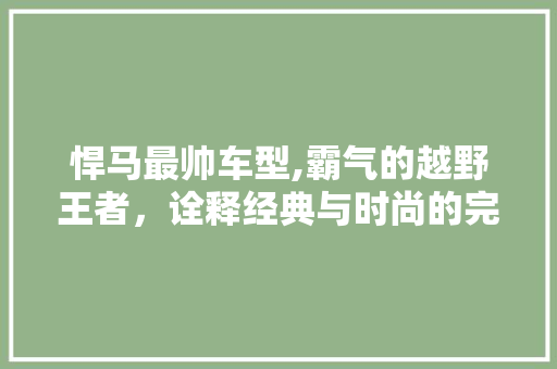 悍马最帅车型,霸气的越野王者，诠释经典与时尚的完美融合