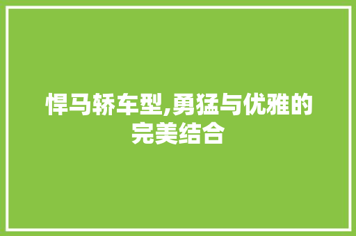 悍马轿车型,勇猛与优雅的完美结合