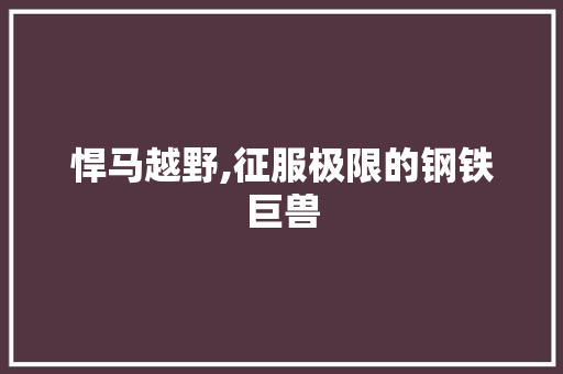 悍马越野,征服极限的钢铁巨兽